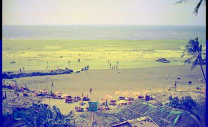 photo of a sea beach